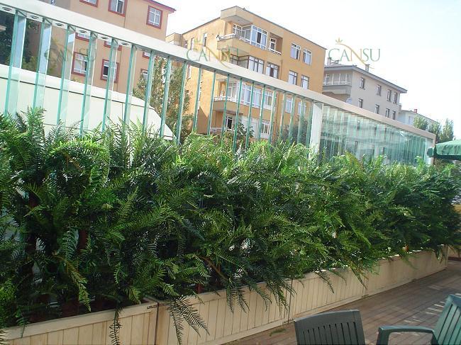 Çim Duvar, Dekoratif Çit, Çim Çit, Şimşir Duvar, Çiçekli Duvar, Bitki Duvar, Yapay Çim Duvar, Yapay Çim Çit